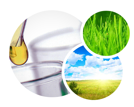 Analisi di laboratorio