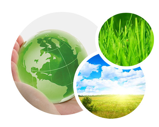 Consulenze ambientali 